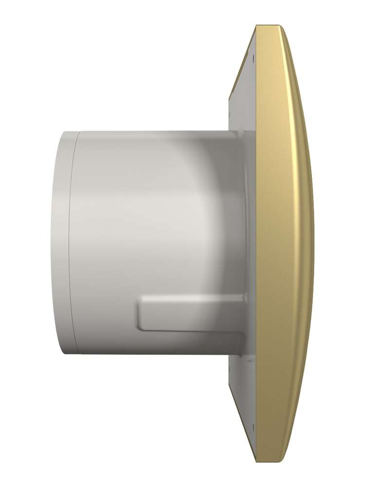 Вентилятор накладной AURA D125 обратный клапан Champagne DICITI